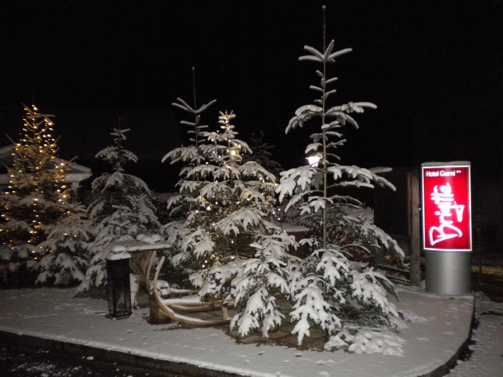 Hotel Garni Brigitte Bürserberg Εξωτερικό φωτογραφία