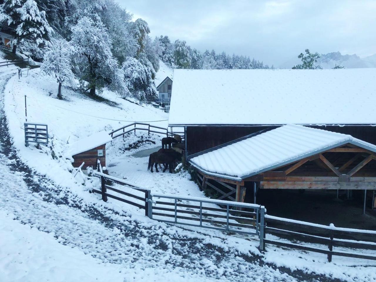 Hotel Garni Brigitte Bürserberg Εξωτερικό φωτογραφία